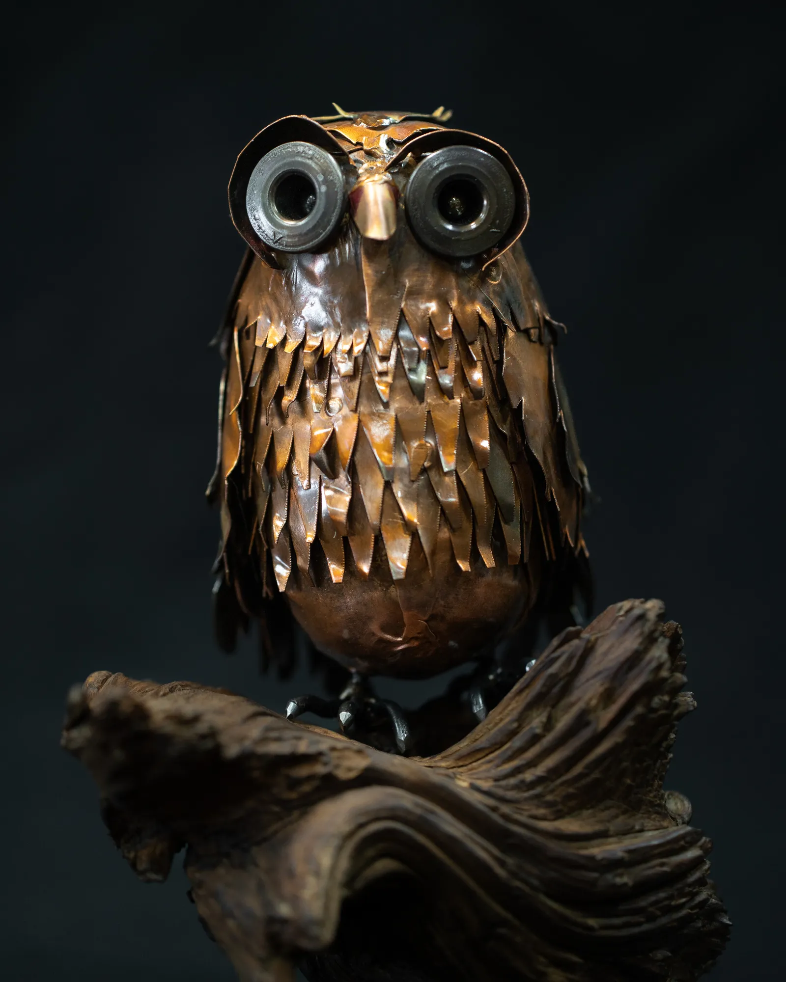 Copper Owl