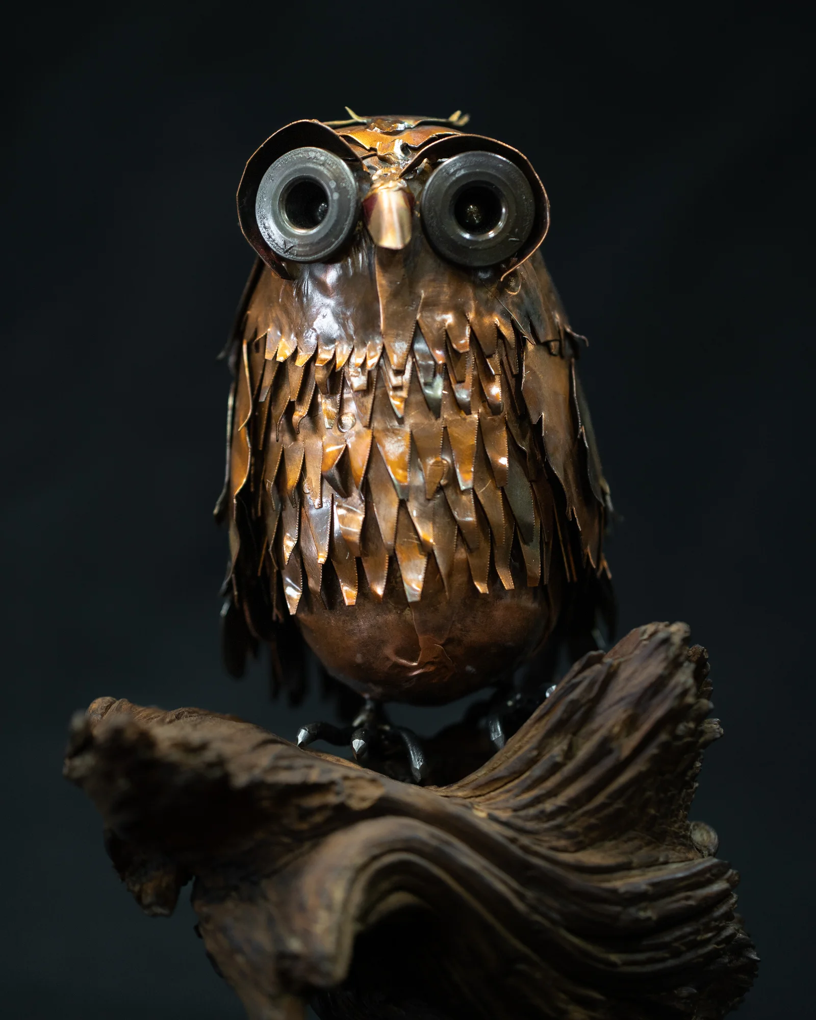 Copper Owl