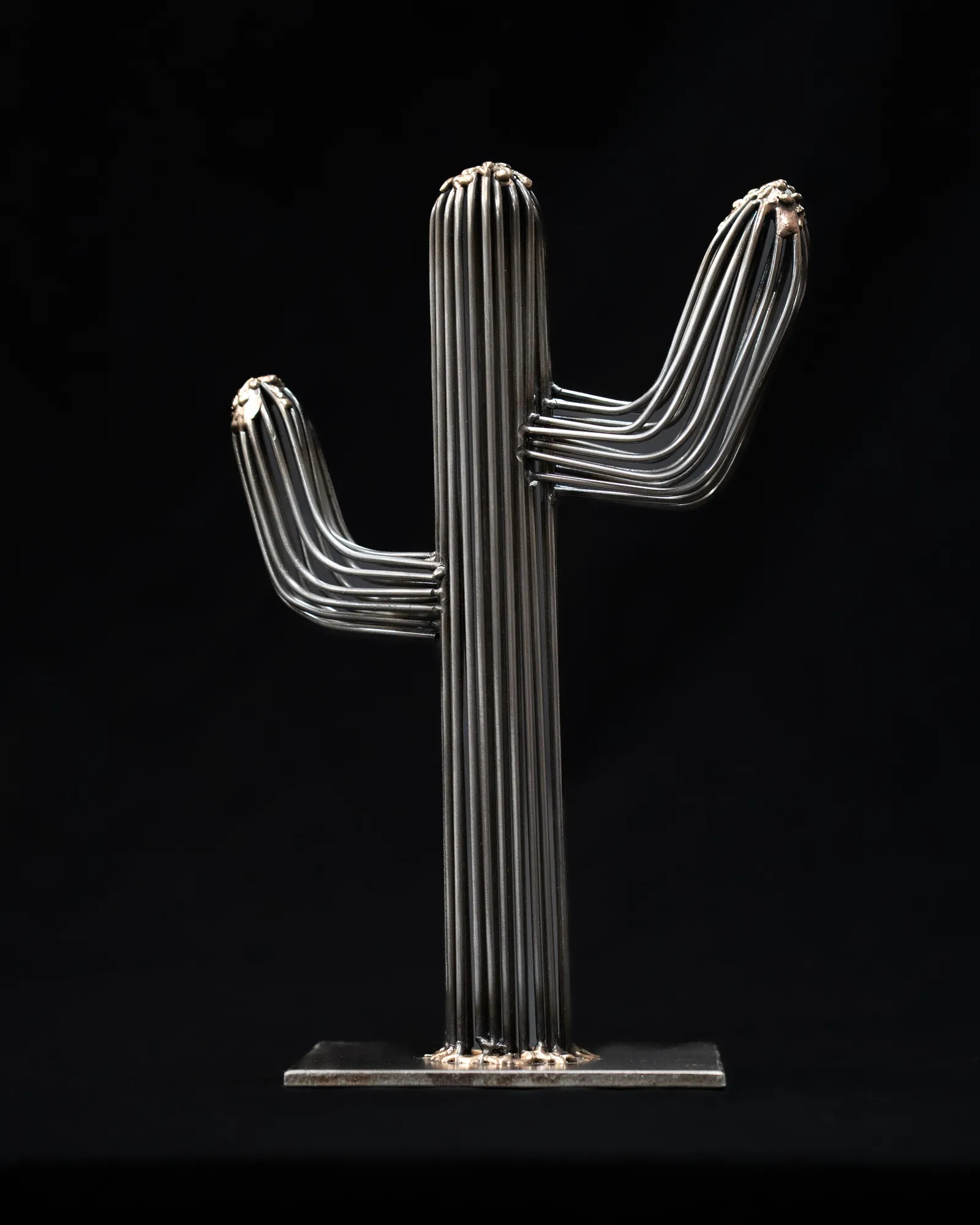 Desert Bloom