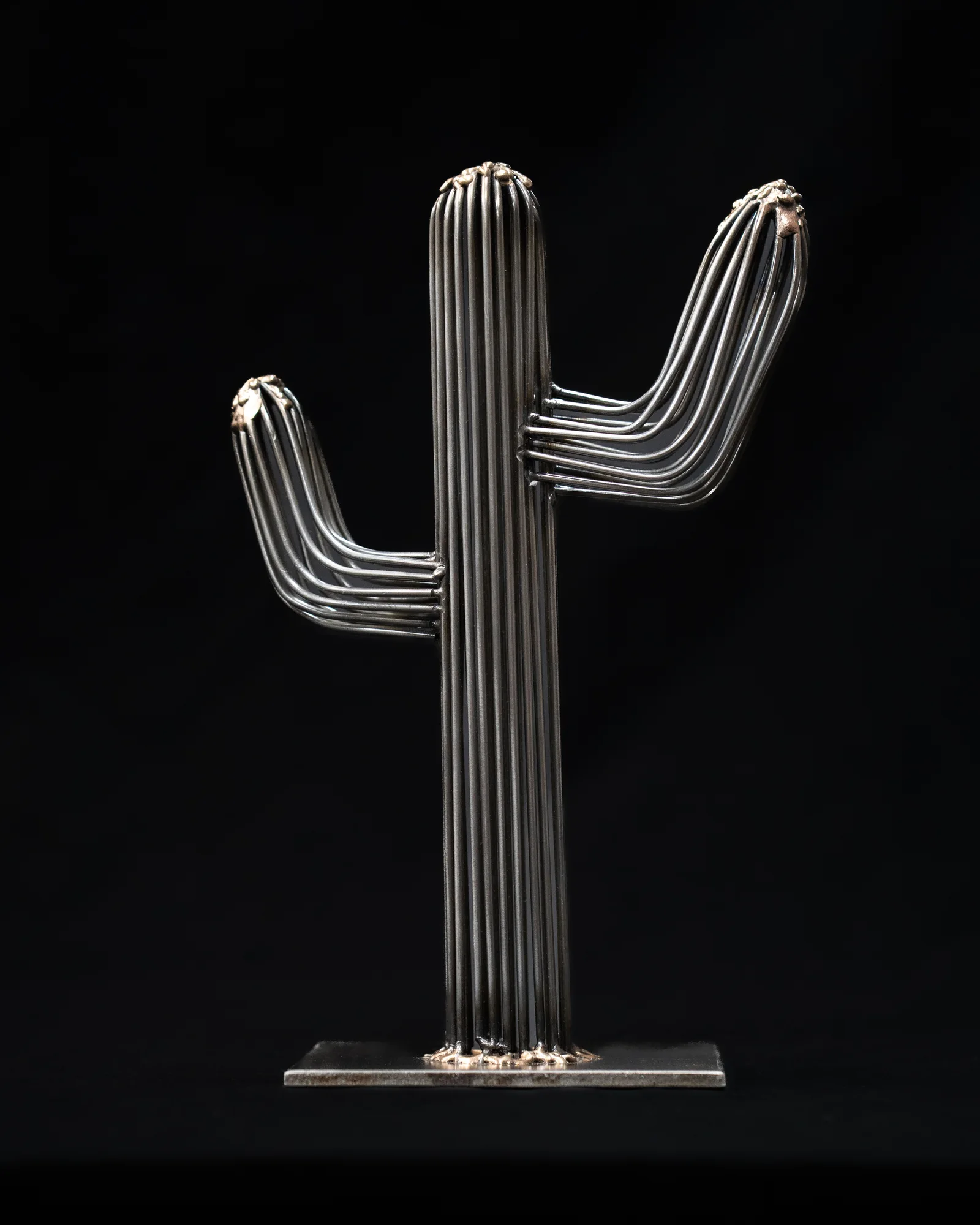 Desert Bloom