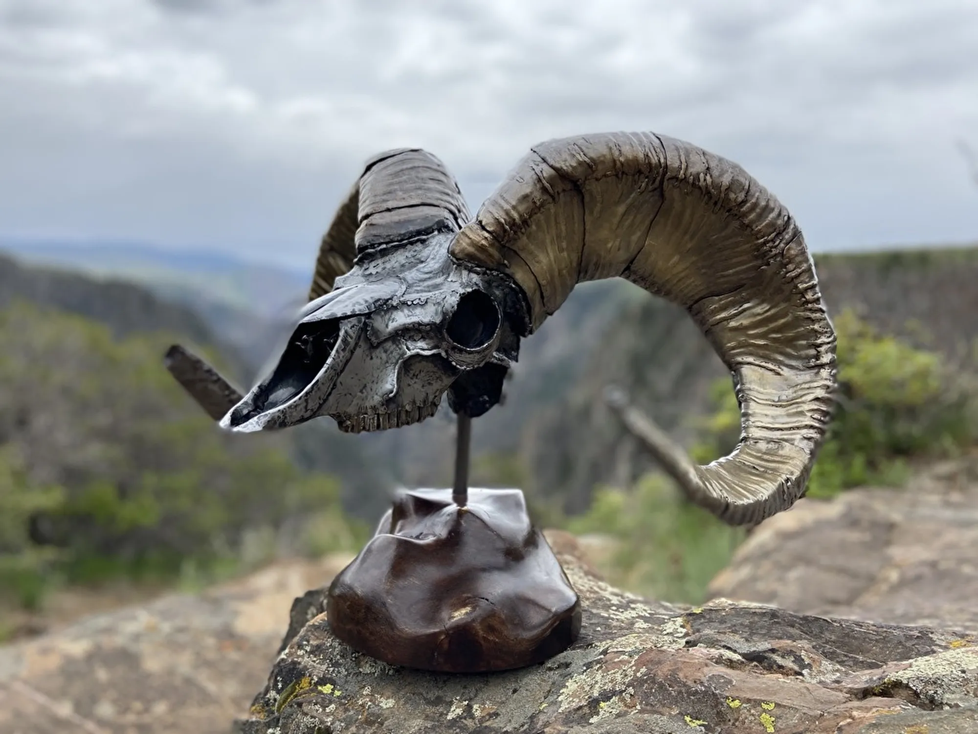 I'm a Ram, 24 gauge sheet metal, hand hammered, brass coated horns; English walnut stand